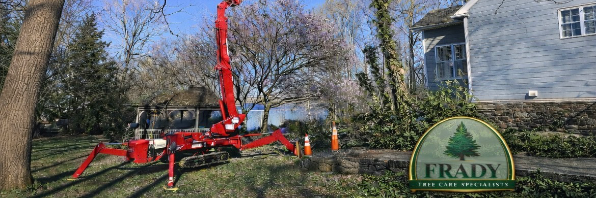 Frady Tree Care cover photo