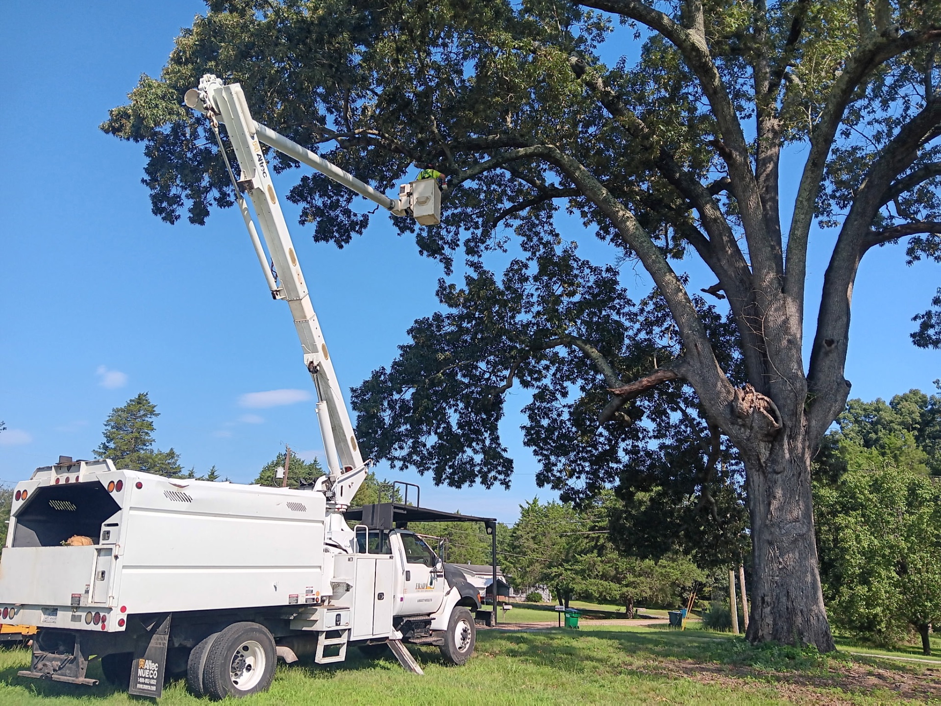 Frady Tree Care, Tree Services in Salisbury , NC - photo 1