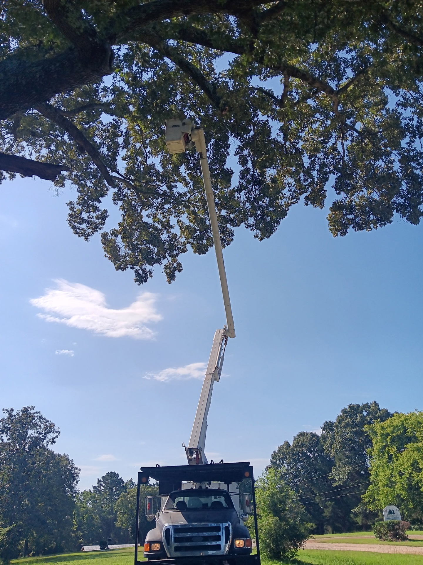 Frady Tree Care, Tree Services in Salisbury , NC - photo 2