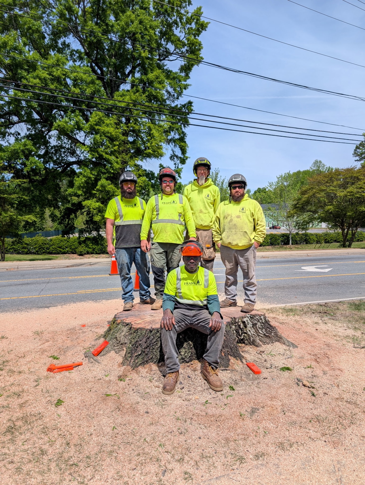 Frady Tree Care, Tree Services in Salisbury , NC - photo 7