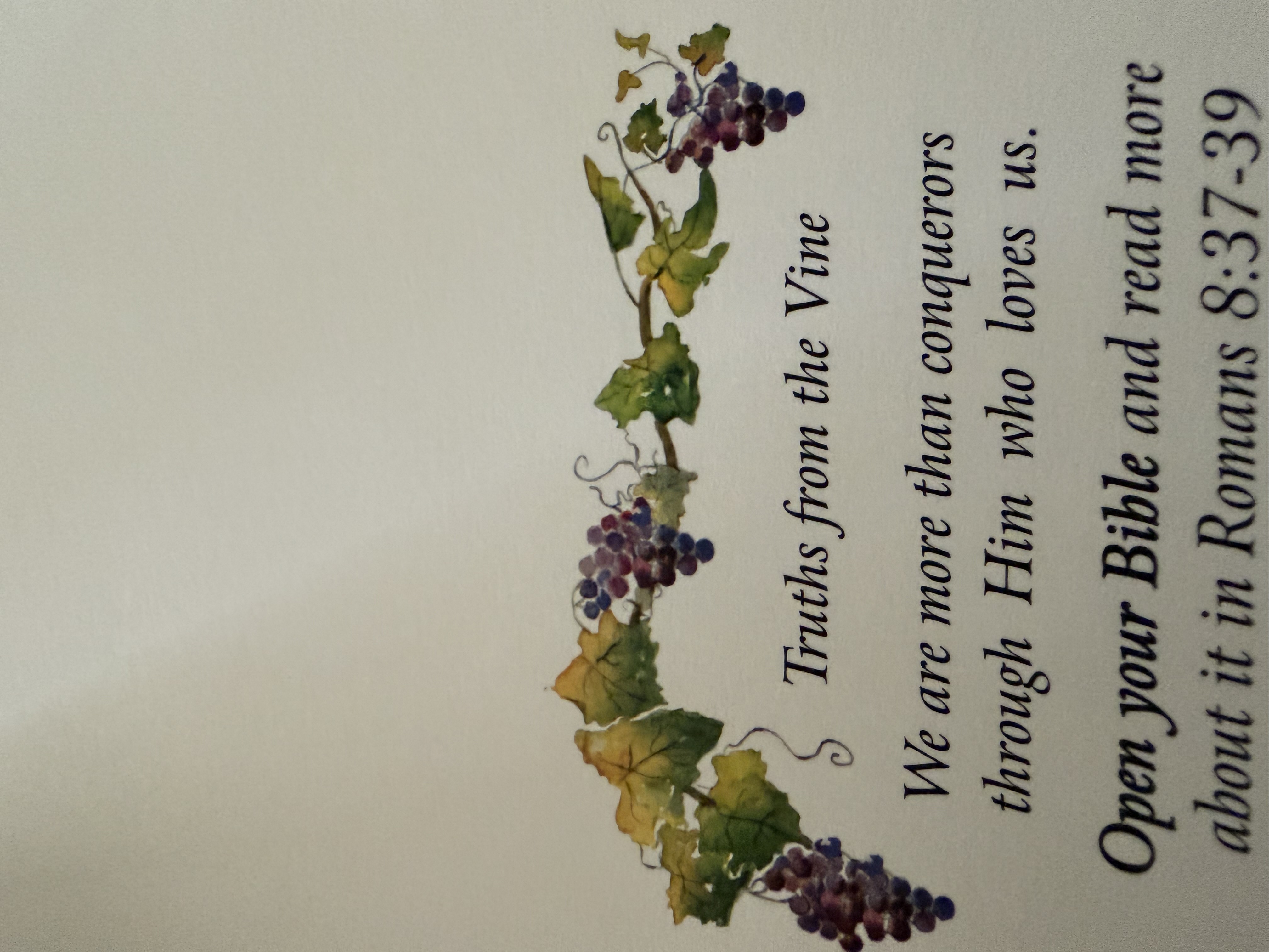 Abiding in the Vine Christian Cards cover photo