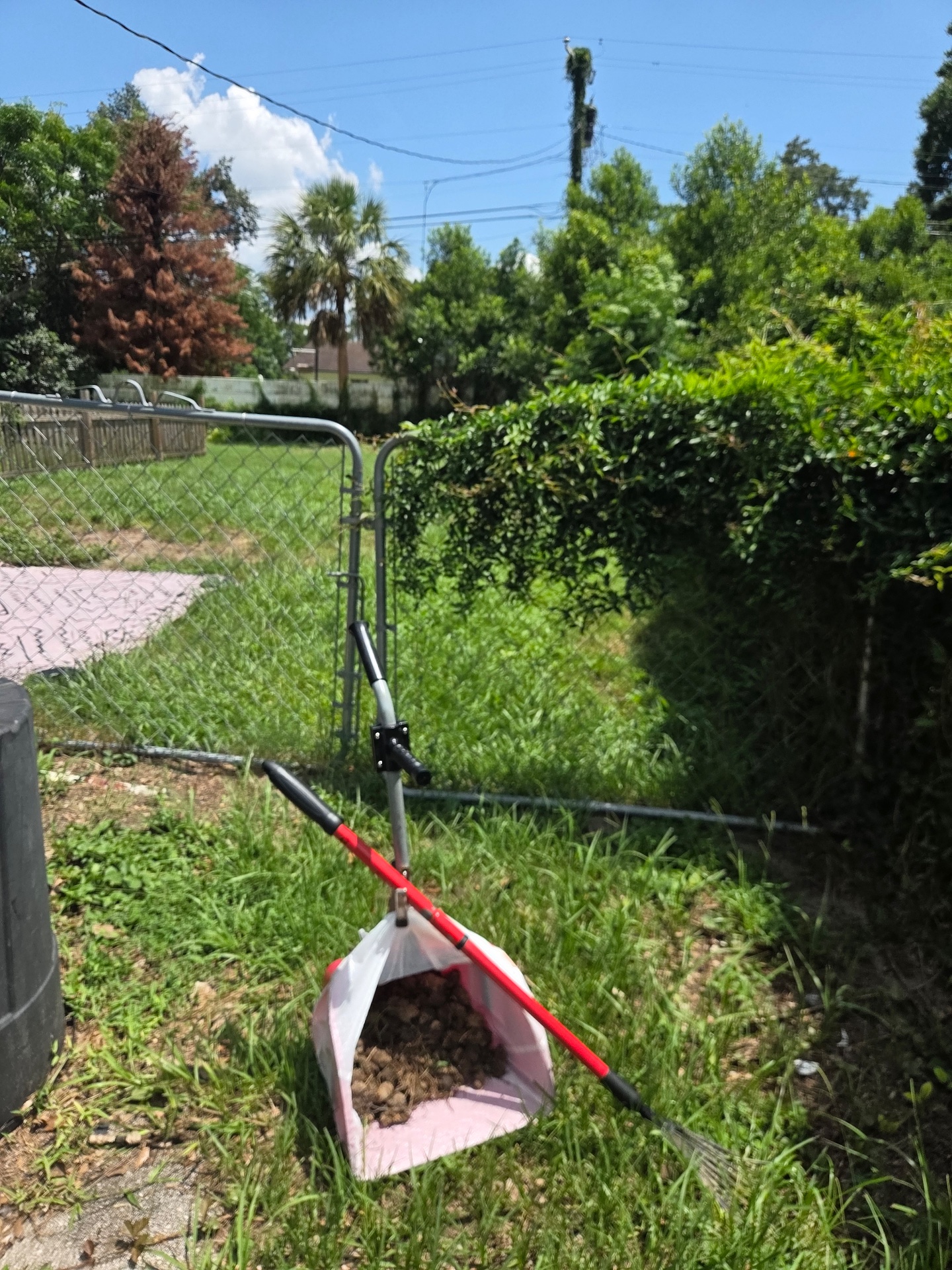 Smart Scoops Pet Waste Removal, Pet Waste Removal in Deltona, FL - photo 2