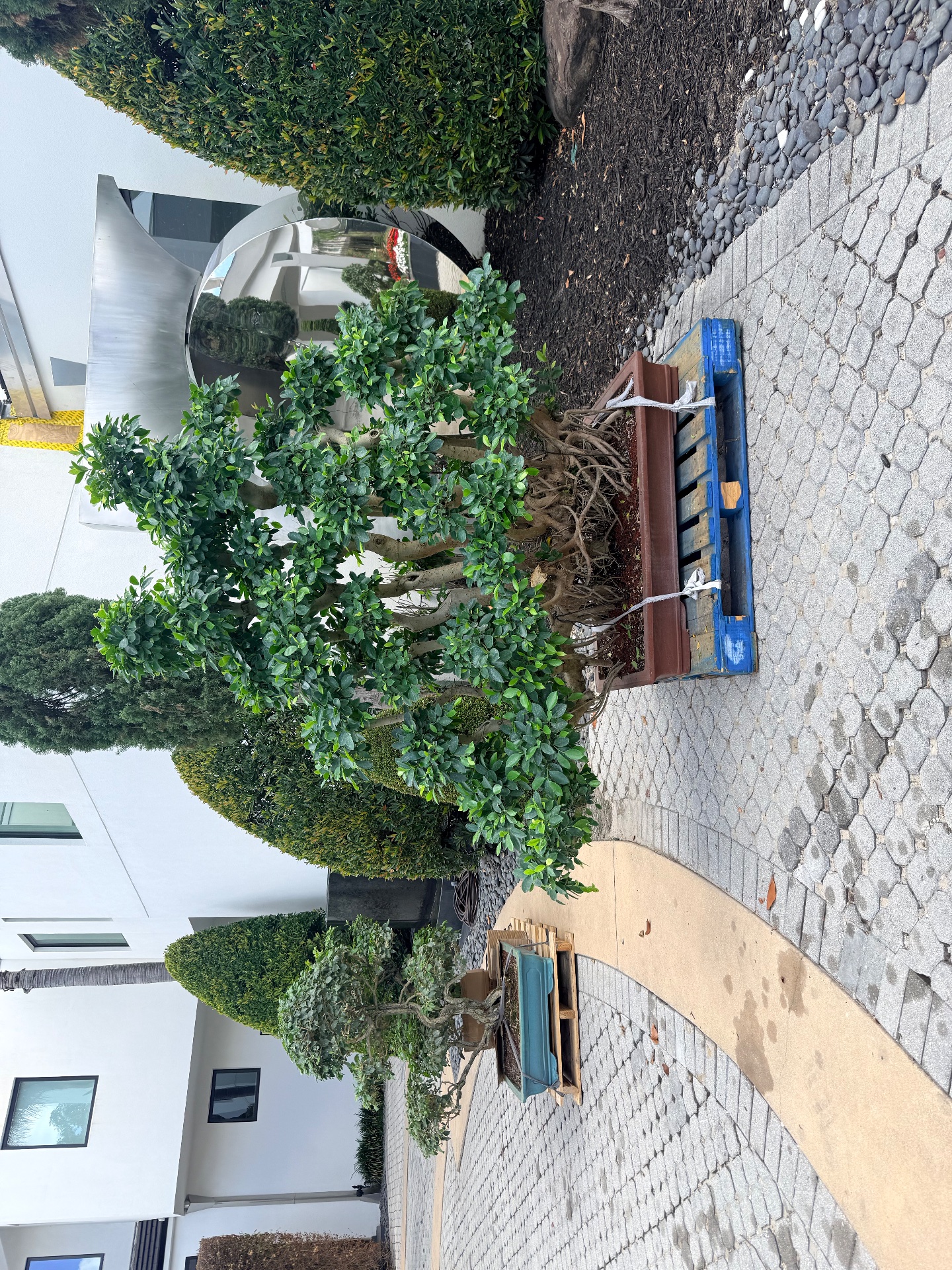KM Landscaping Inc, Outdoor Landscaping and Design in Deltona, FL - photo 3