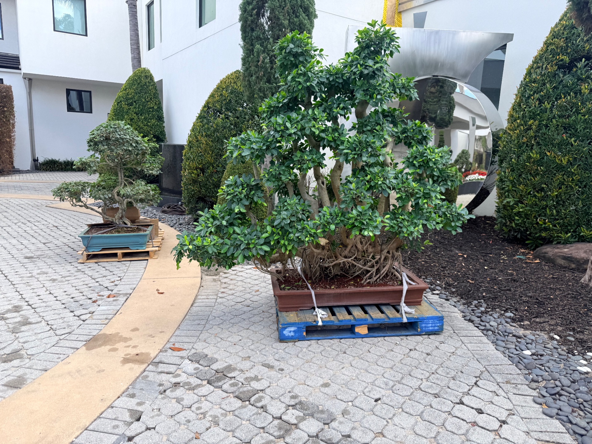 KM Landscaping Inc, Outdoor Landscaping and Design in Deltona, FL - photo 4