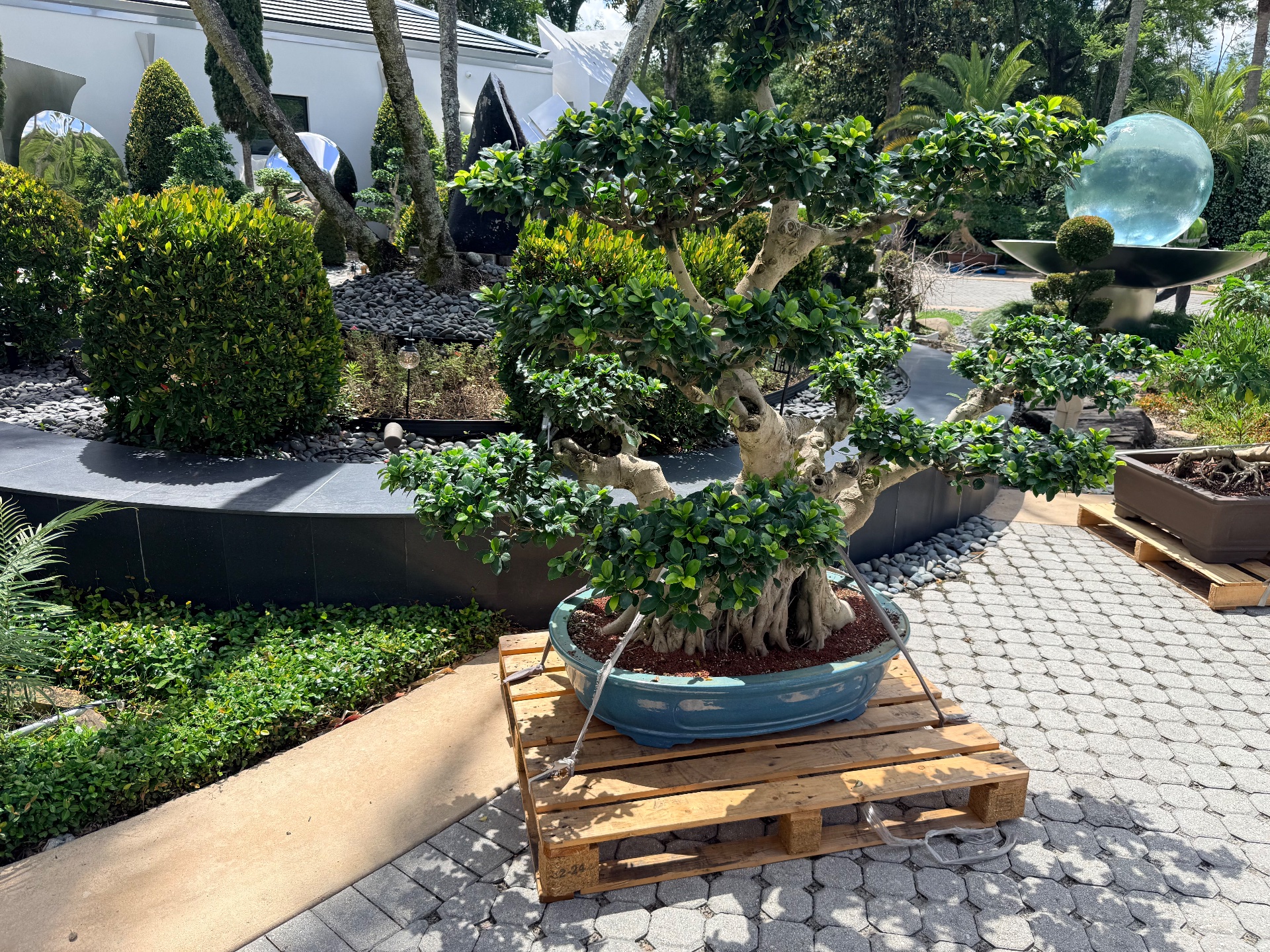 KM Landscaping Inc, Outdoor Landscaping and Design in Deltona, FL - photo 6