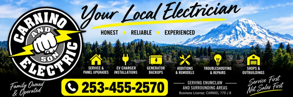 Carnino Electric & Son cover photo