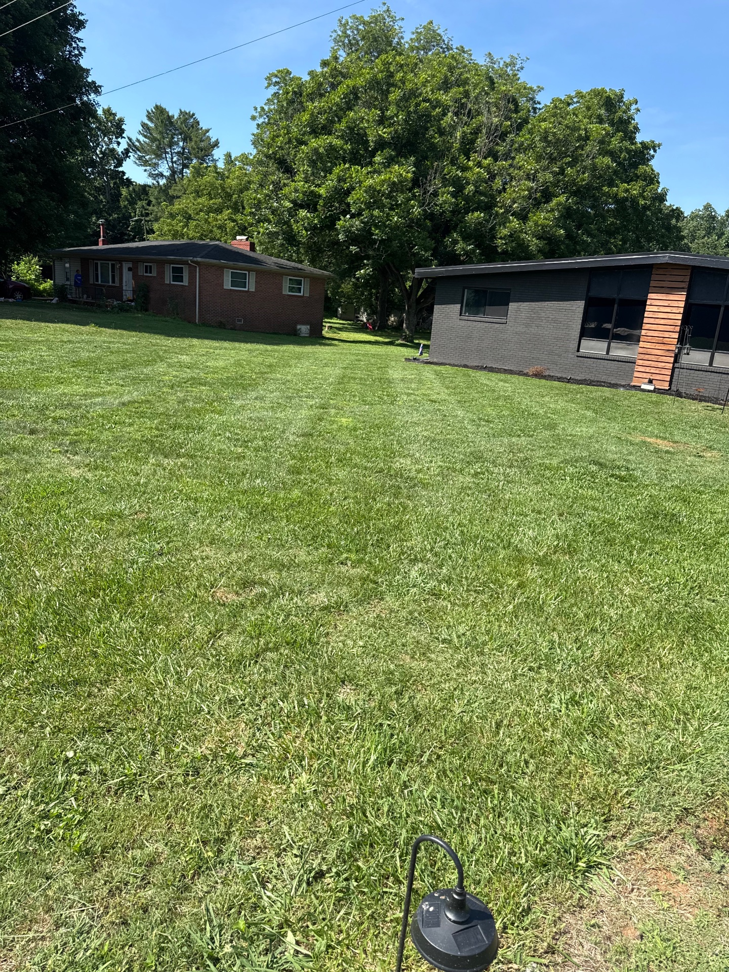 Estrada’s junk and landscaping services llc, Full Service Lawn Care in Statesville, NC - photo 2