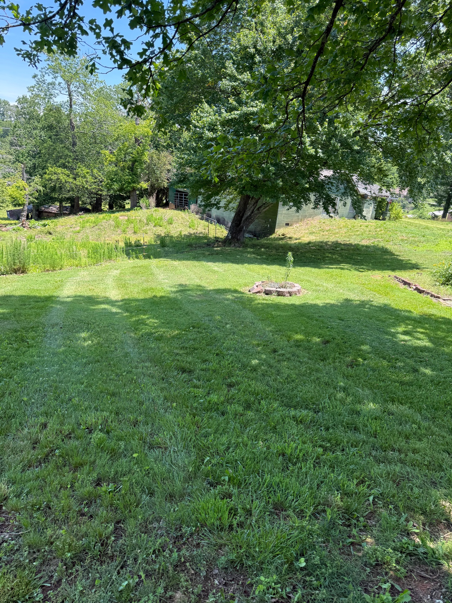Estrada’s junk and landscaping services llc, Full Service Lawn Care in Statesville, NC - photo 4