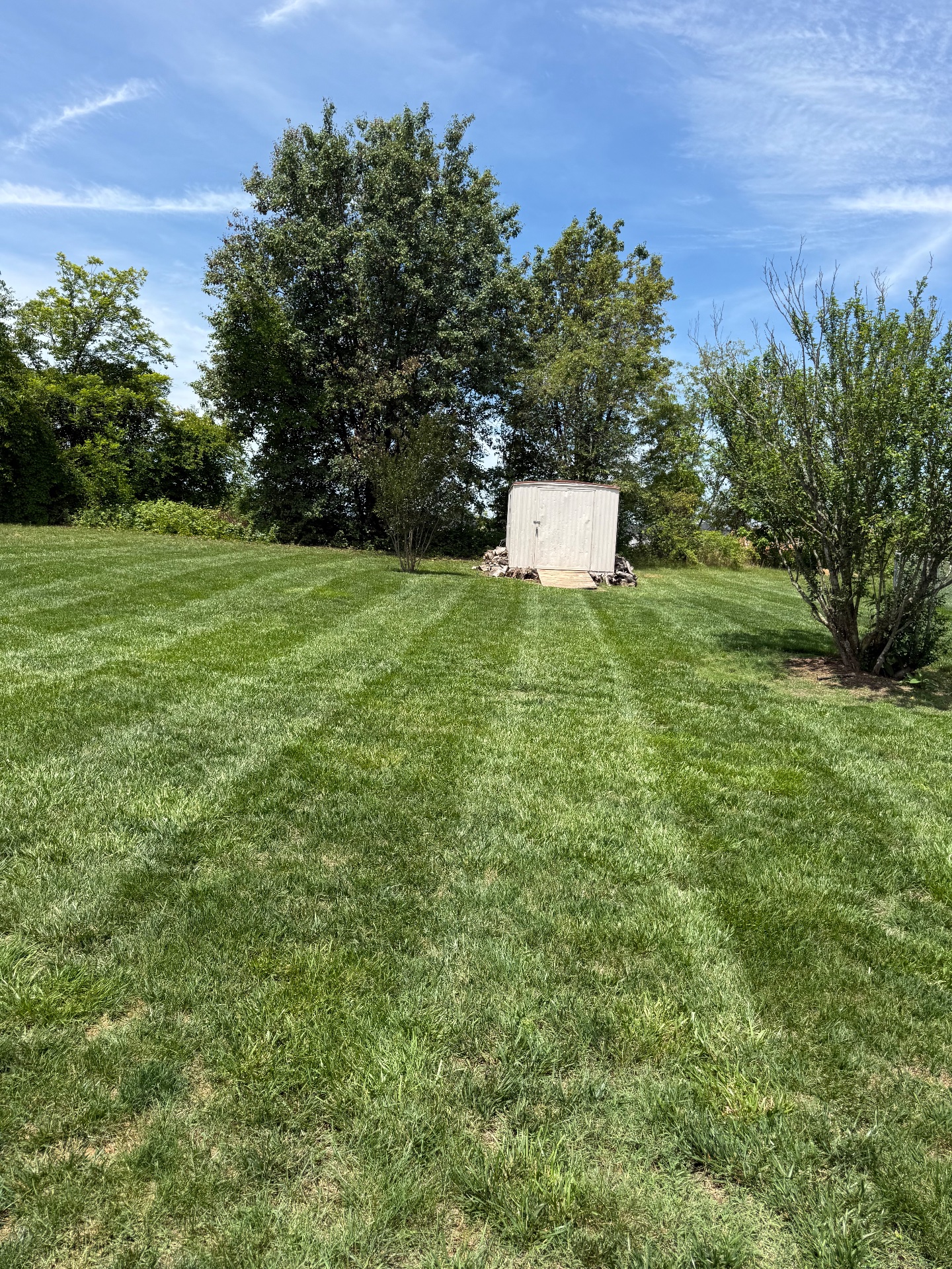 Estrada’s junk and landscaping services llc, Full Service Lawn Care in Statesville, NC - photo 5