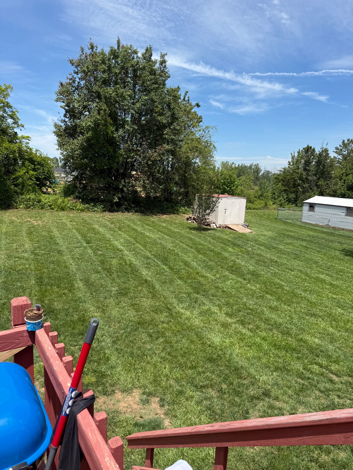 Estrada’s junk and landscaping services llc, Full Service Lawn Care in Statesville, NC - photo 6