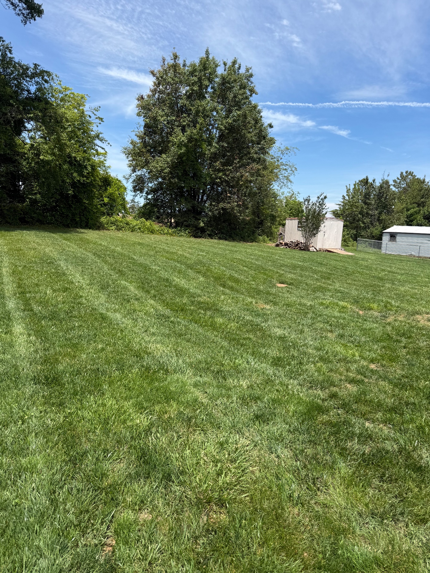 Estrada’s junk and landscaping services llc, Full Service Lawn Care in Statesville, NC - photo 7