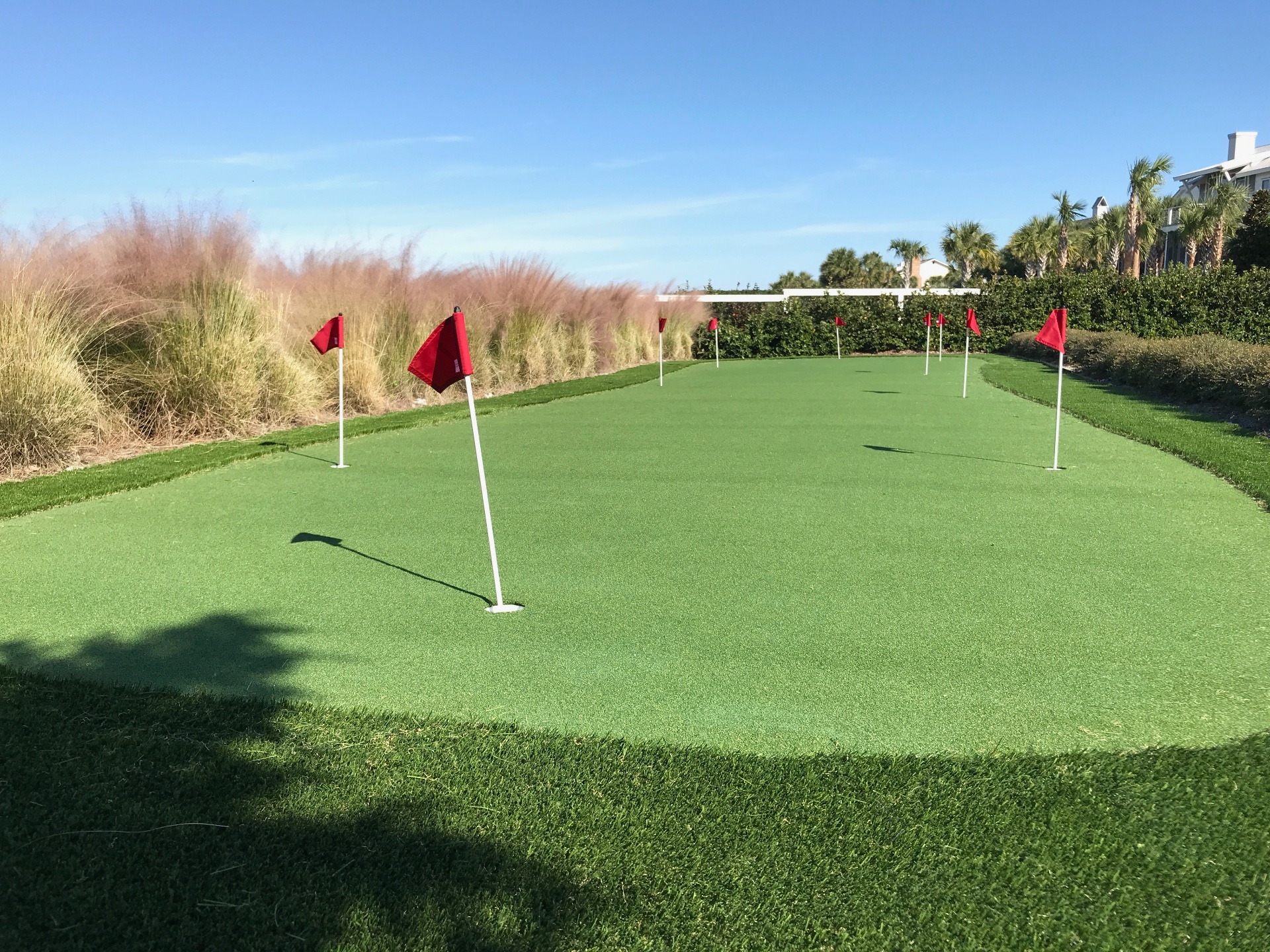 Palmetto Moon Synthetic Turf, Artificial Turf Installation in Charleston, SC - photo 3