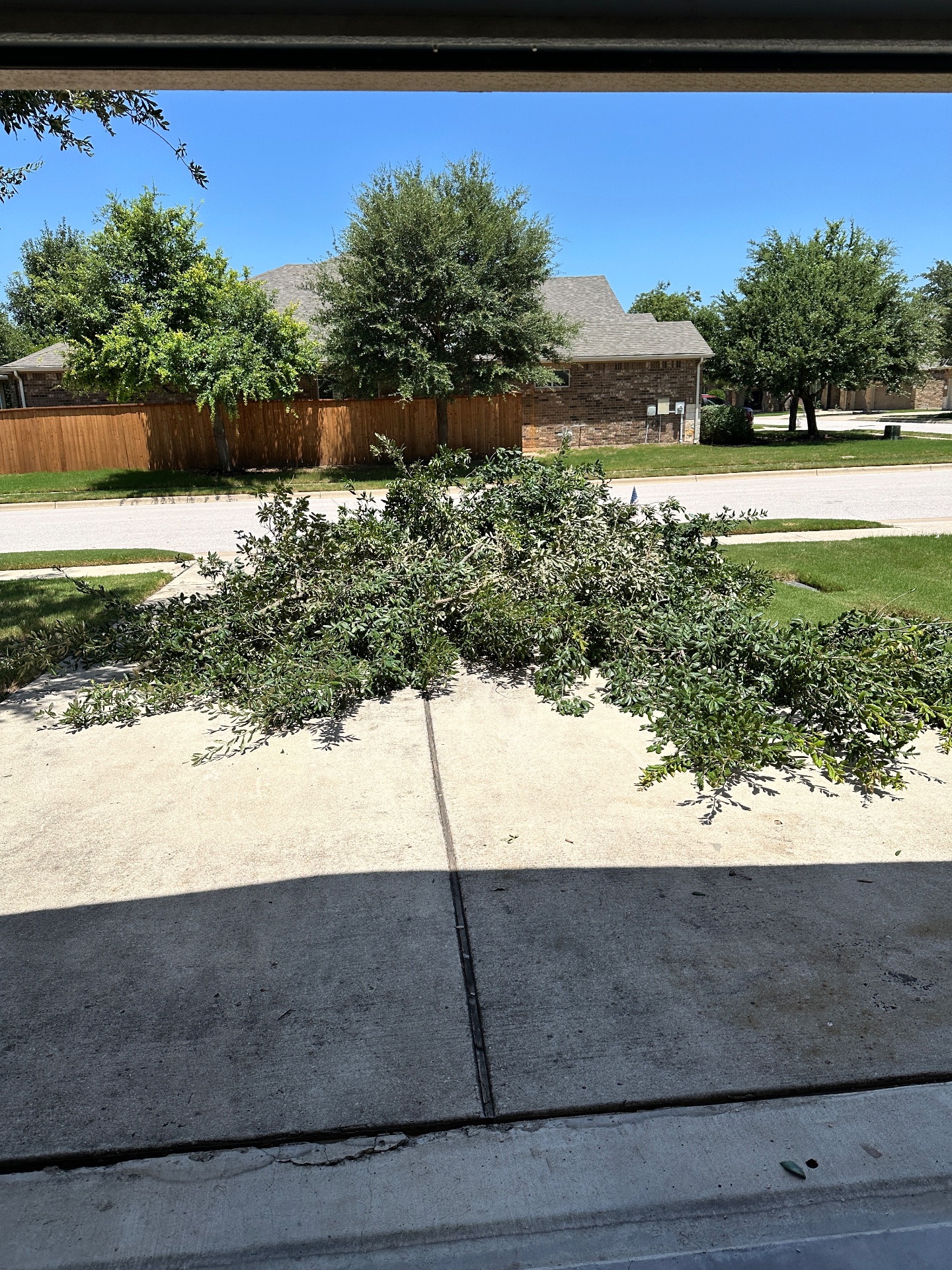 Black Helmet Junk Removal, Demolition Services in Liberty Hill, TX - photo 5