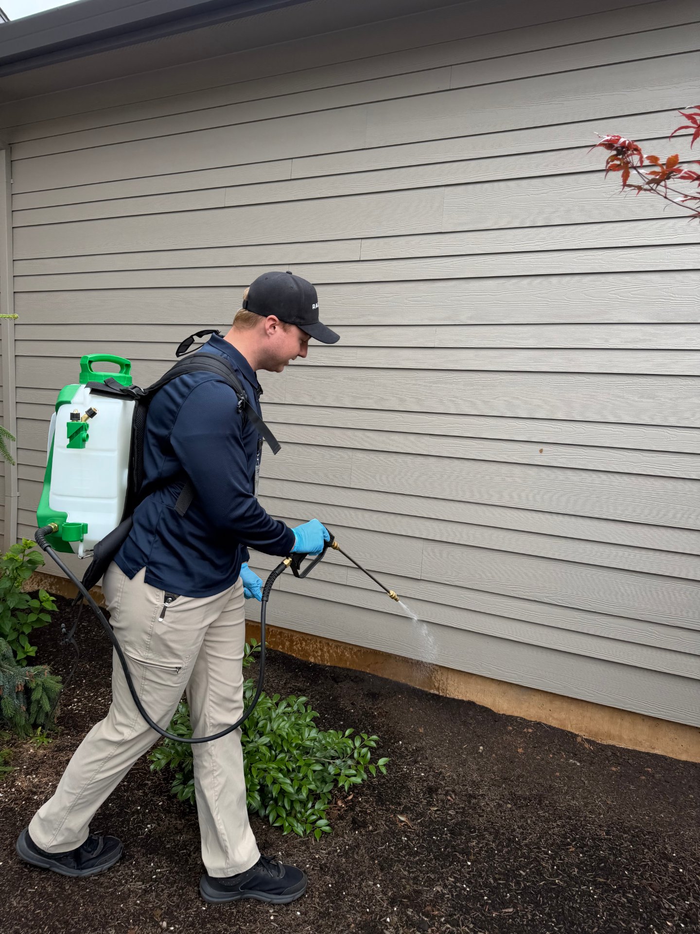 Raptor Pest Services, Pest Control Services in Oregon City, OR - photo 3