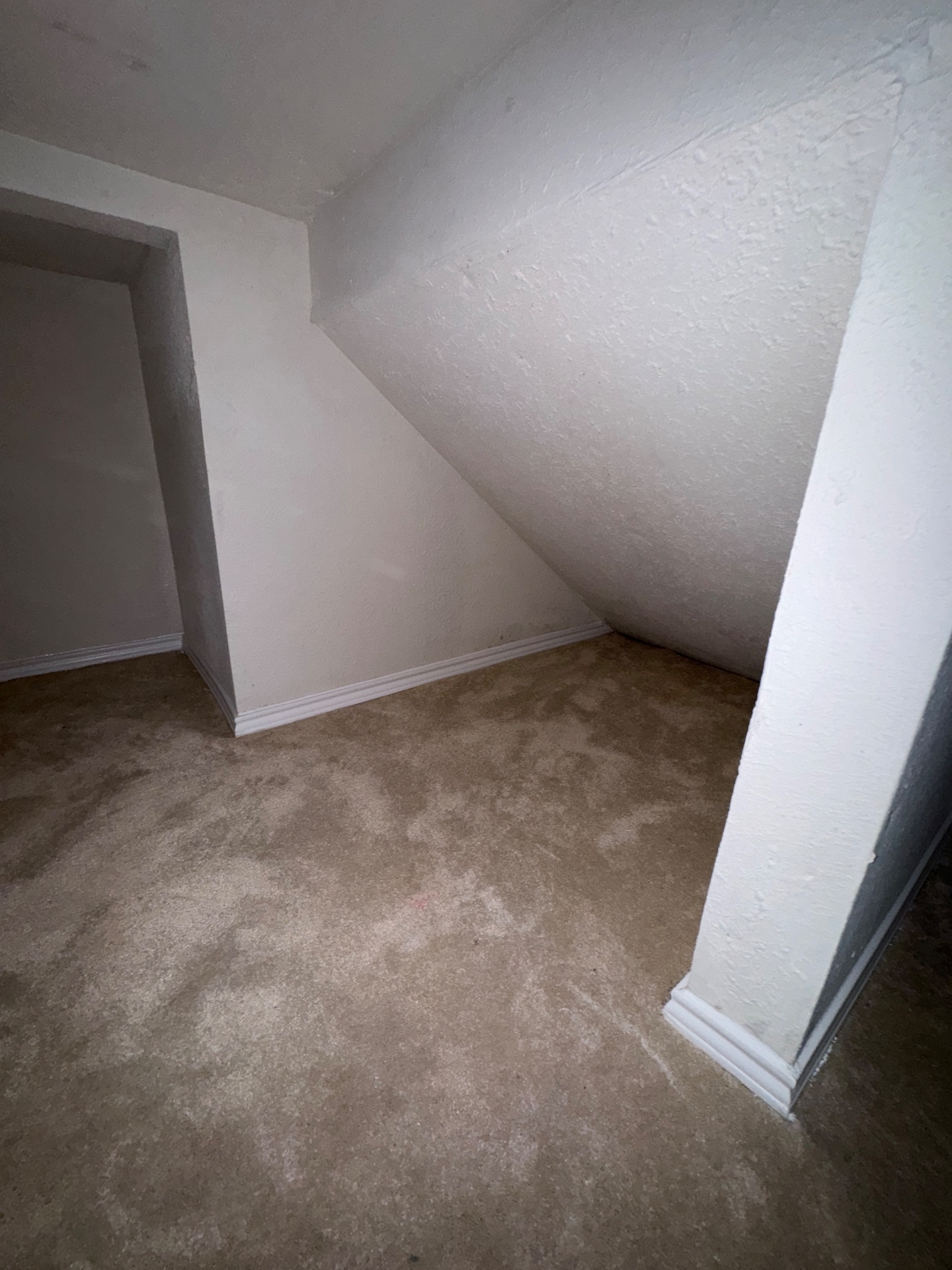 Zambrano Painting, Cabinet Painting in Garland, TX - photo 5