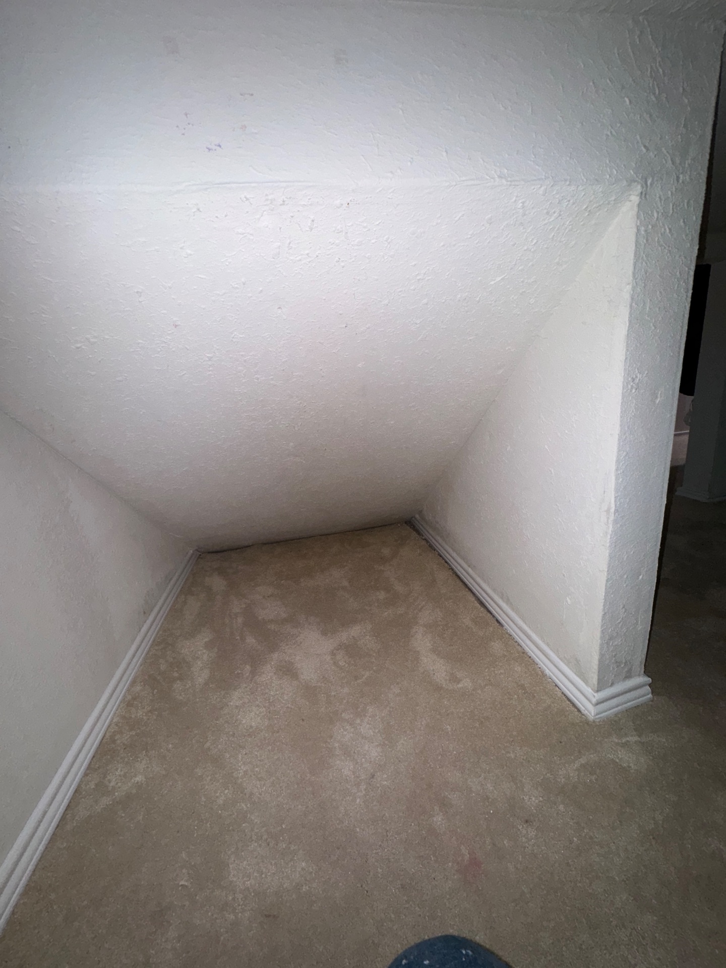 Zambrano Painting, Cabinet Painting in Garland, TX - photo 6