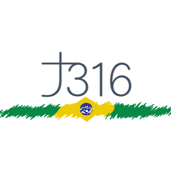 J316 SERVICES LLC
