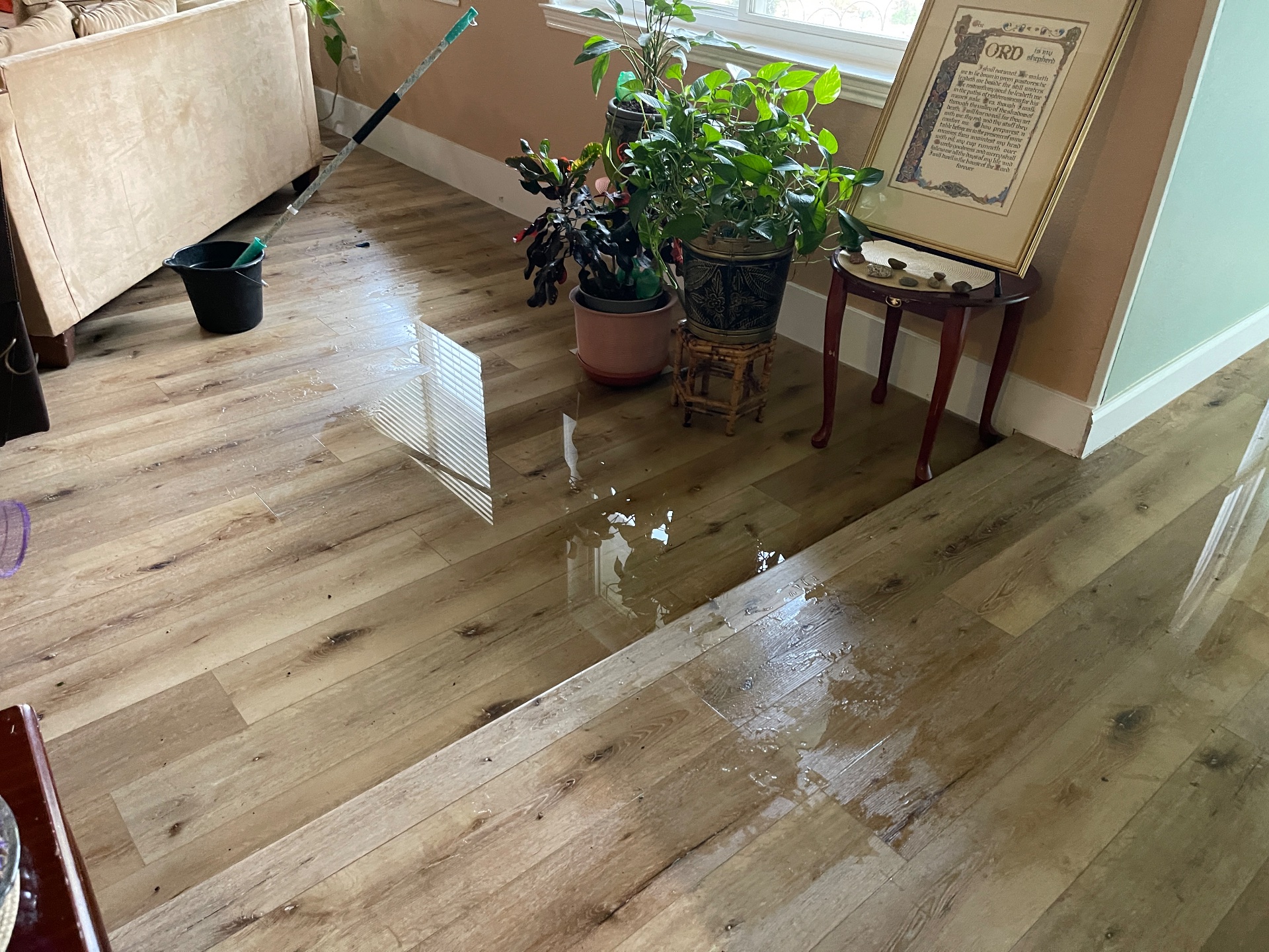 Mr. Restore, Water Damage Cleanup and Restoration in Lewisville, TX - photo 1