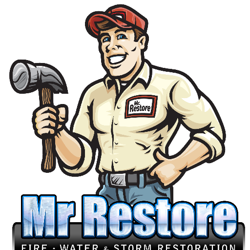 Mr. Restore