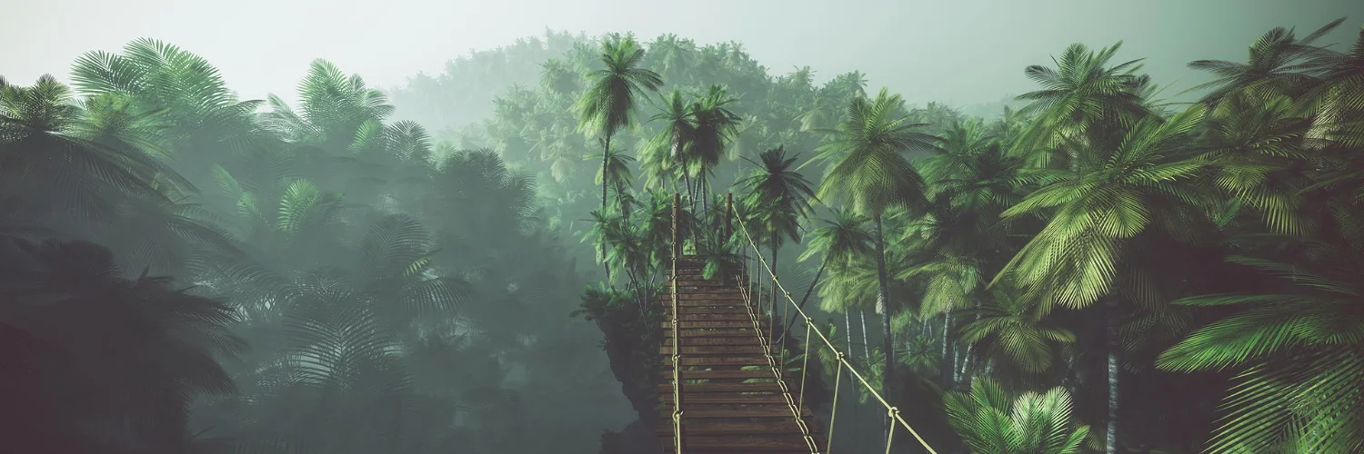 Jungle Studios Inc. cover photo