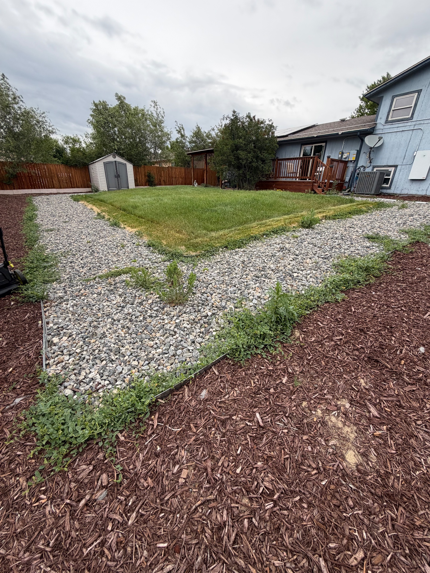 CC’s Landscaping services, Lawn Mowing and Trimming in Denver, CO - photo 1