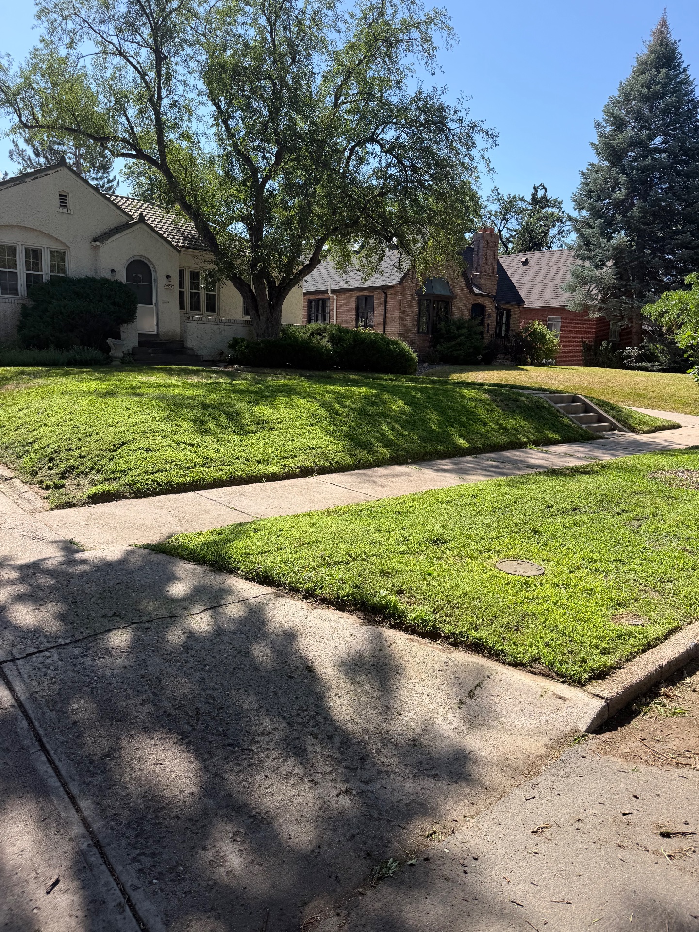 CC’s Landscaping services, Lawn Mowing and Trimming in Denver, CO - photo 6