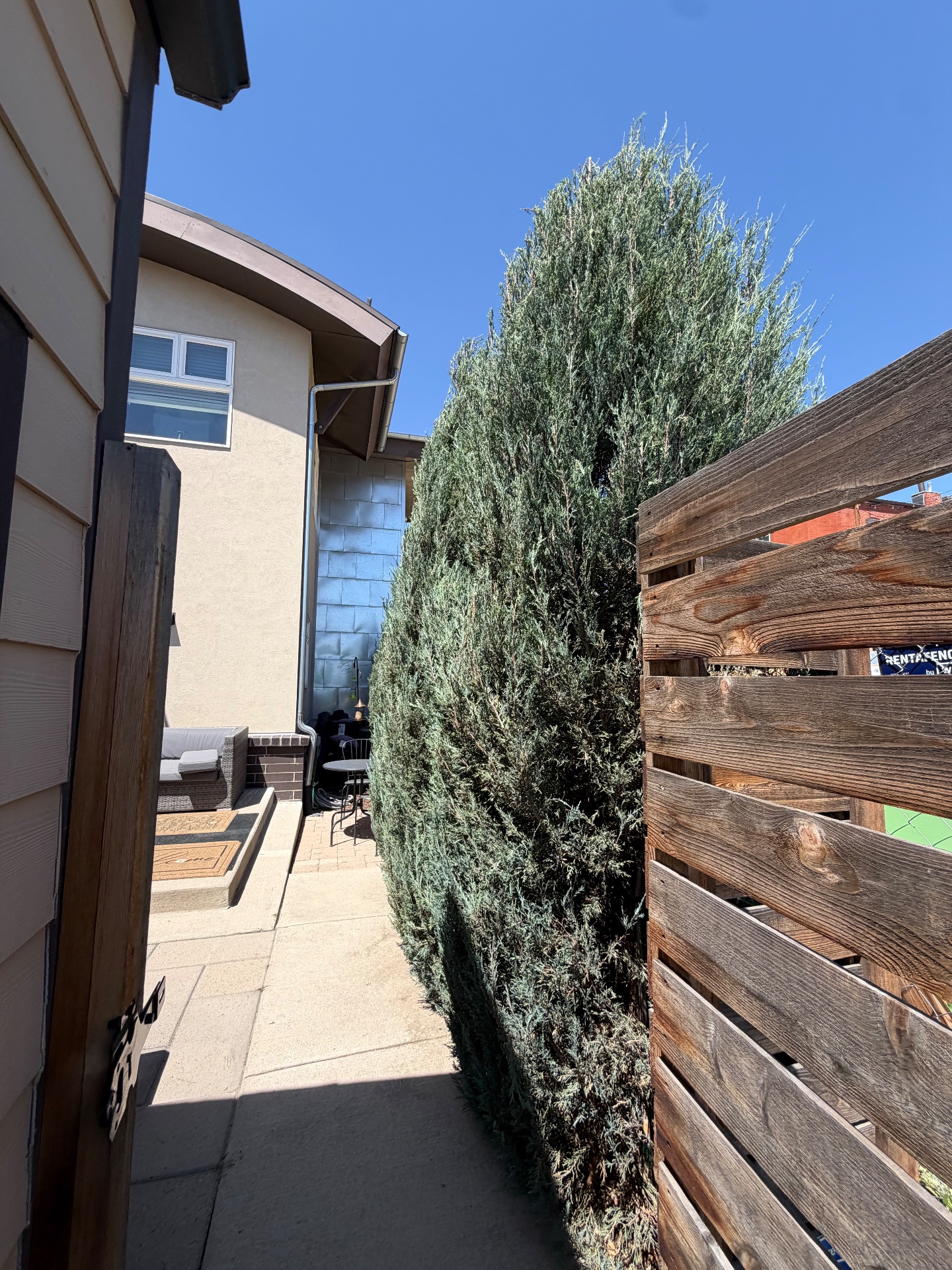 CC’s Landscaping services, Lawn Mowing and Trimming in Denver, CO - photo 8