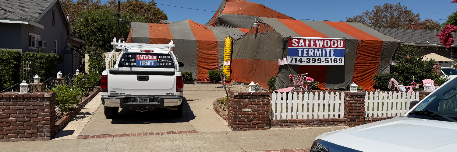 Safewood Termite cover photo