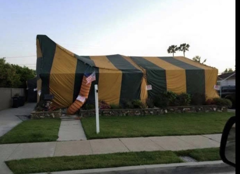 Safewood Termite, Termite Control Services in Menifee, CA - photo 5