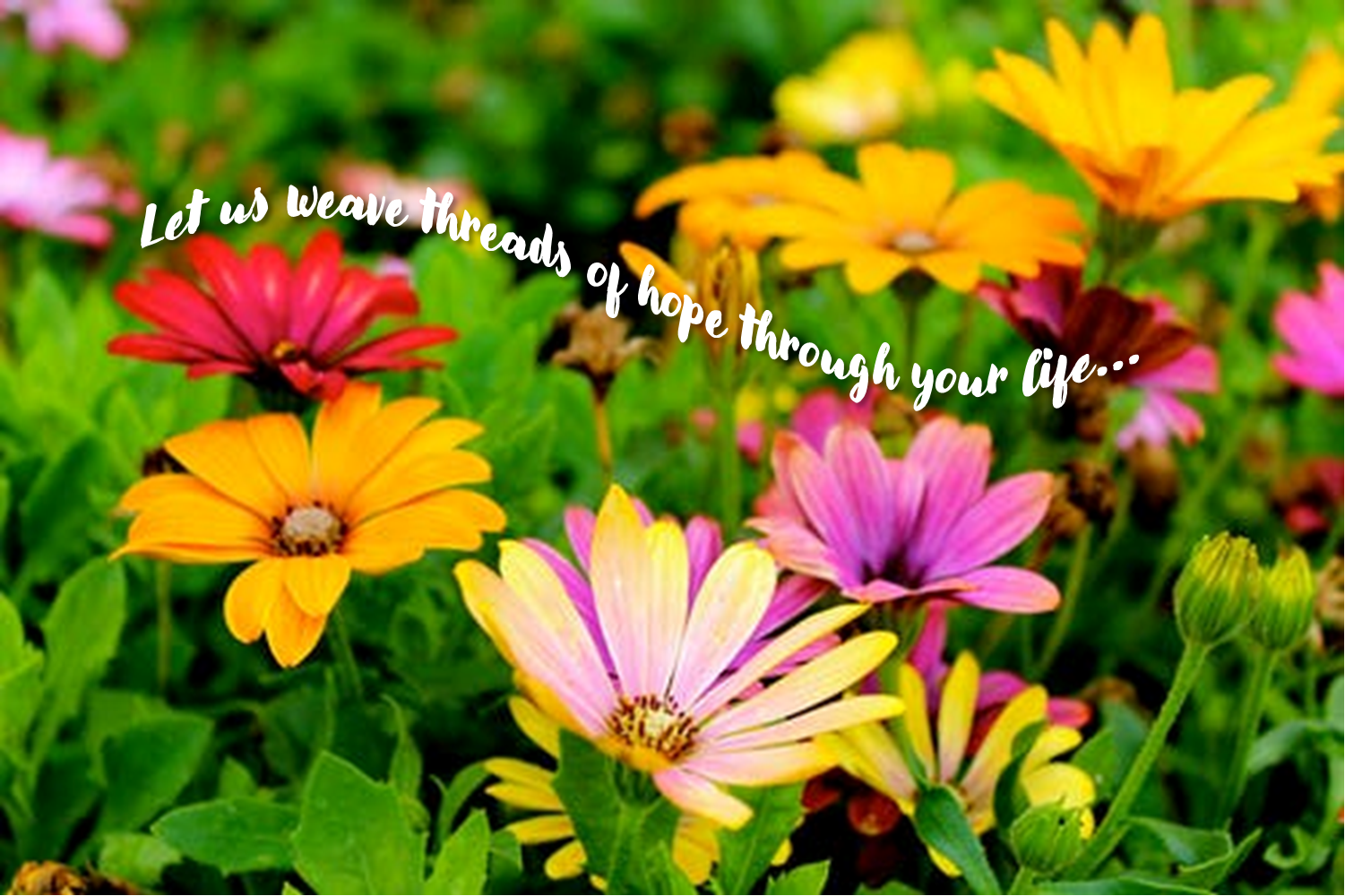 Threads of Hope Counseling cover photo