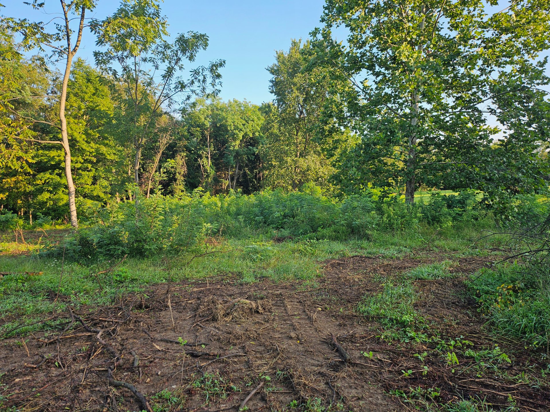 Mapleville Land Clearing LLC, Forestry in Hagerstown, MD - photo 1