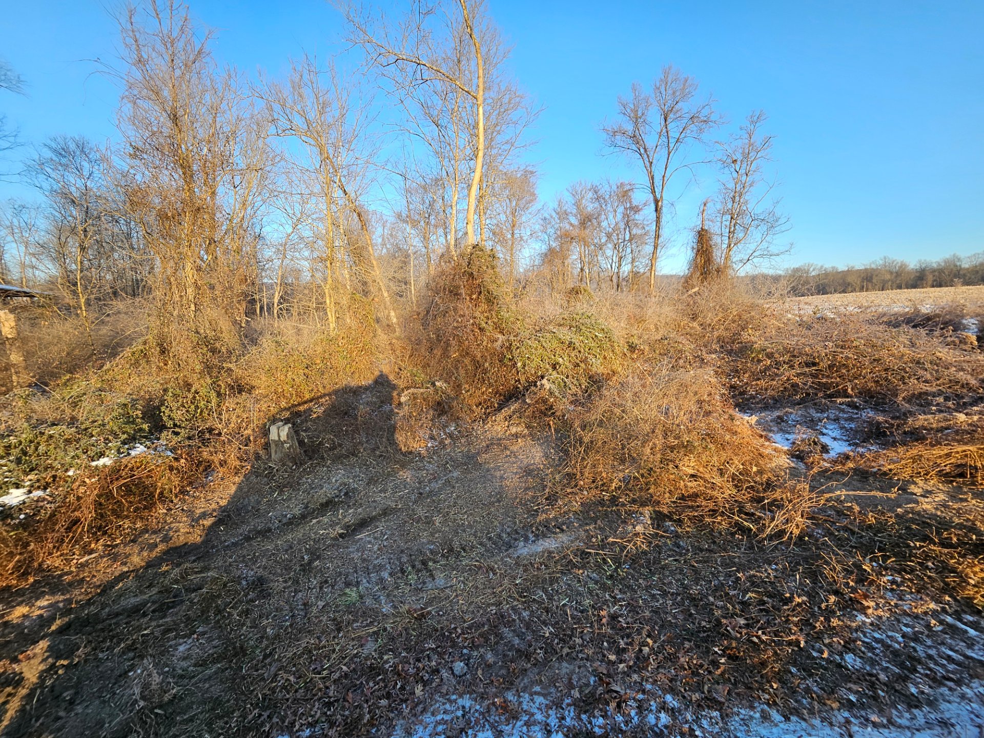 Mapleville Land Clearing LLC, Forestry in Hagerstown, MD - photo 2
