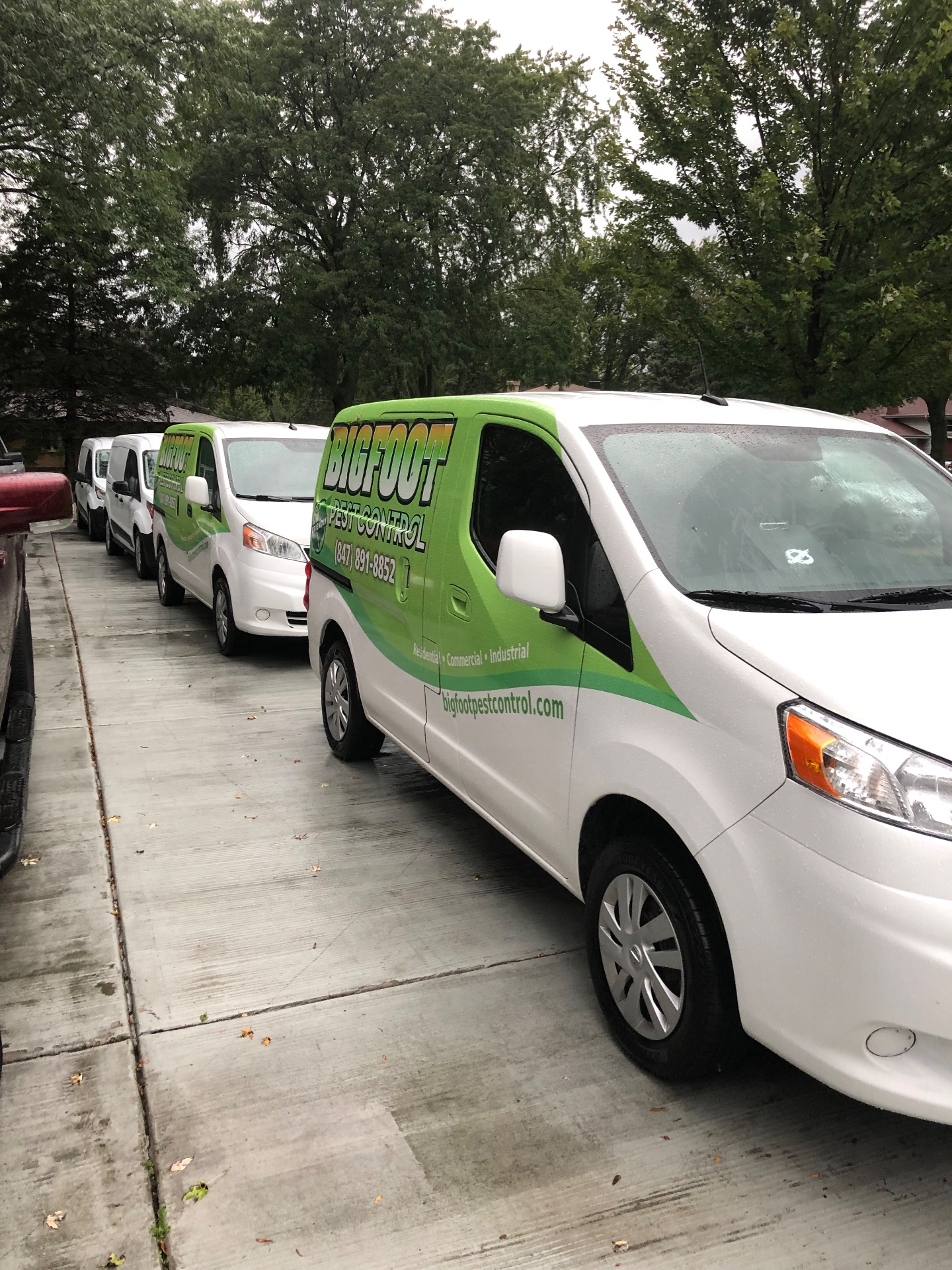 Bigfoot Pest Control, Home Inspection in Itasca, IL - photo 2