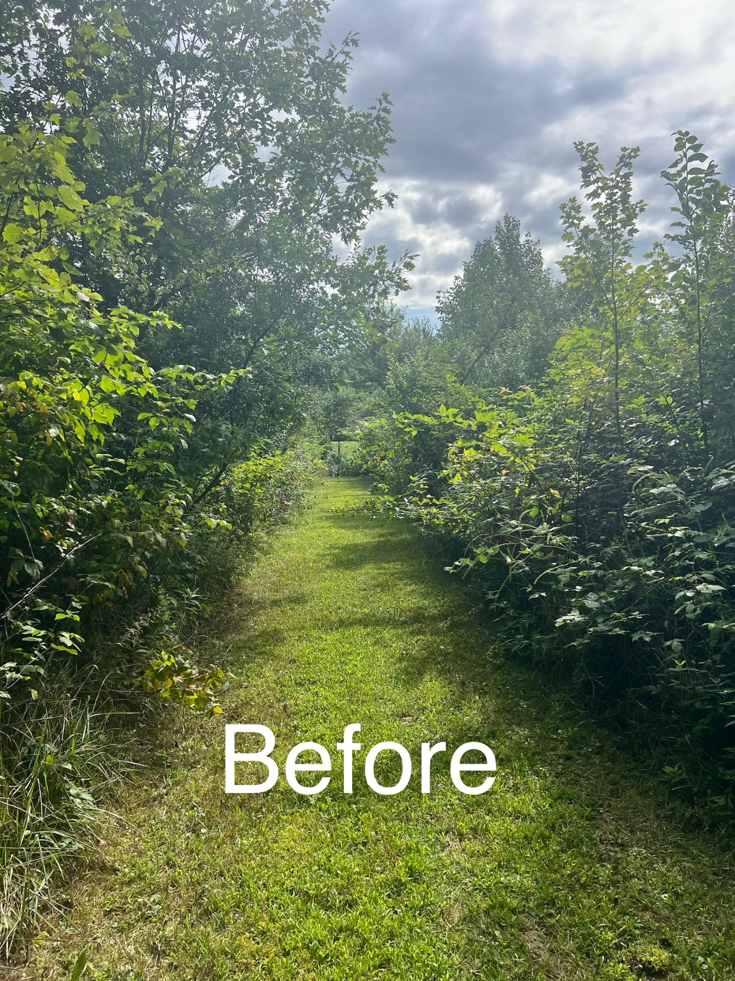 Servant hands property services LLC, Full Service Lawn Care in Medina, OH - photo 5