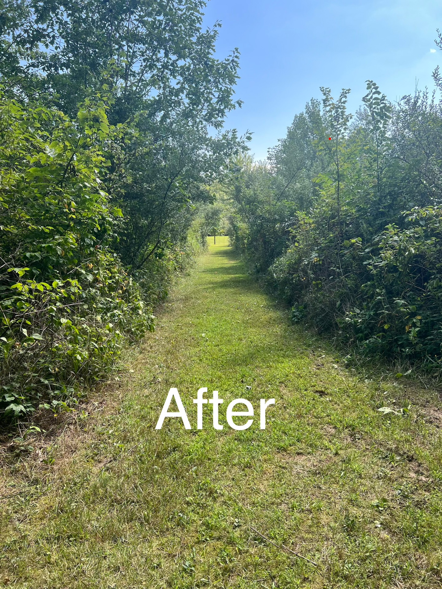 Servant hands property services LLC, Full Service Lawn Care in Medina, OH - photo 6