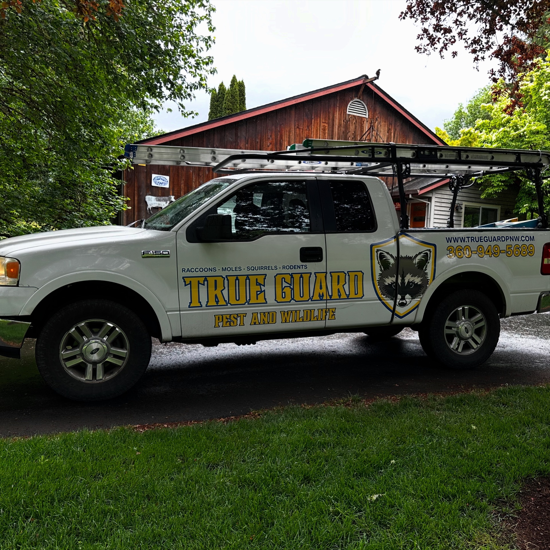 True guard pest and wildlife, Pest Control Services in Battle Ground, WA - photo 5