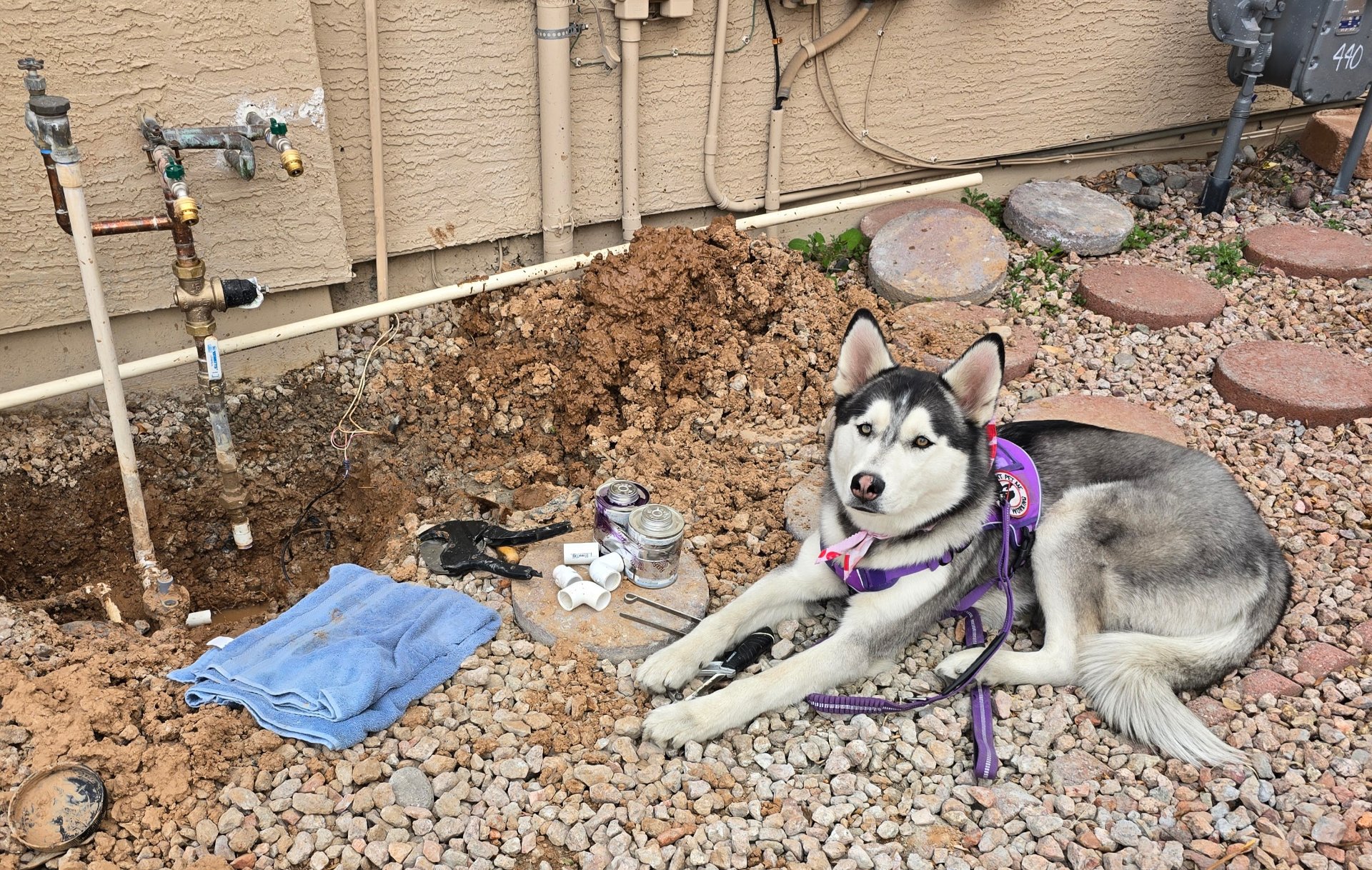 MushDog Pro Services - Handyman, Remodel, Junk Removal, Demolition Services in Glendale, AZ - photo 8