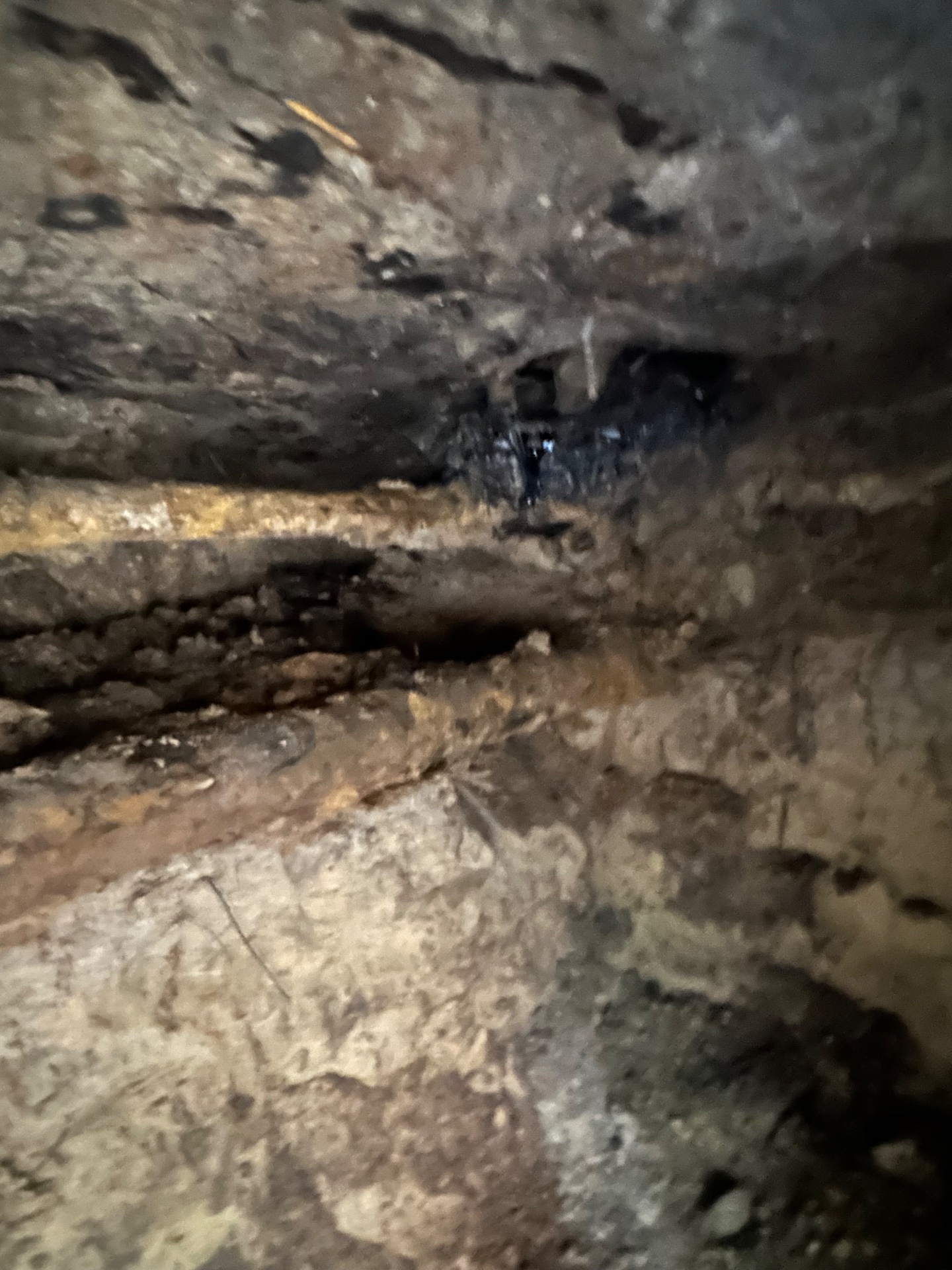 Repipe Solutions Inc, Emergency Plumbing in New Caney, TX - photo 4