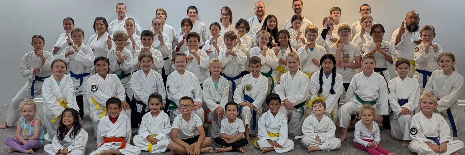 DMD Tae Kwon Do cover photo