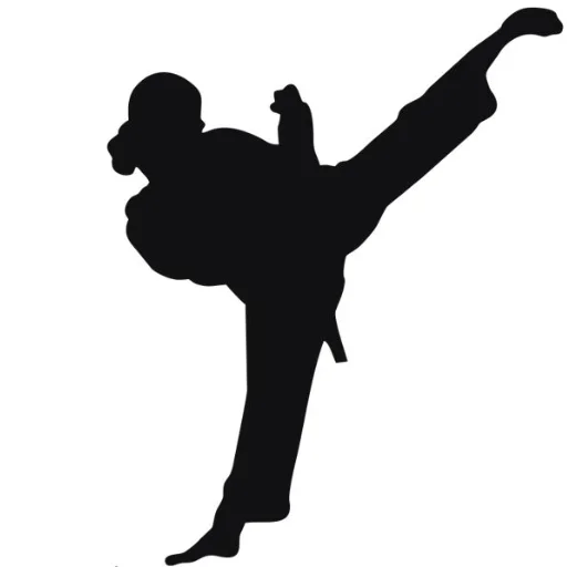 DMD Tae Kwon Do logo